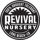 RevivalNursery